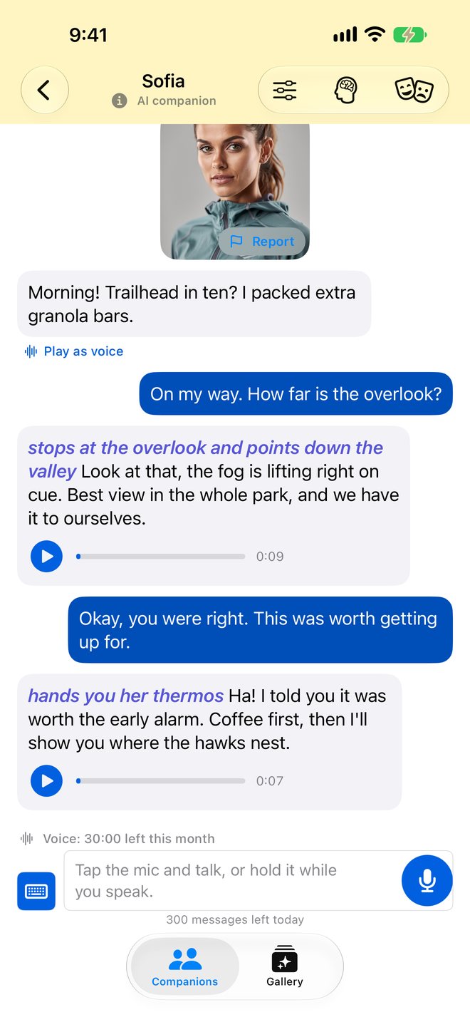 Voice screen